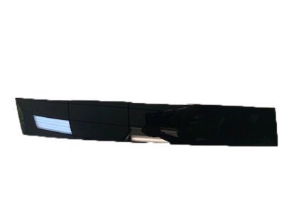 GM 22633723 Applique Assembly, Front Side Door Window Frame Rear