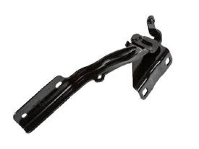 GM 19317757 Hinge Asm,Hood