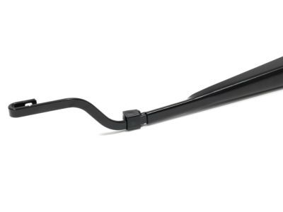 GM 10364940 Arm Assembly, Windshield Wiper