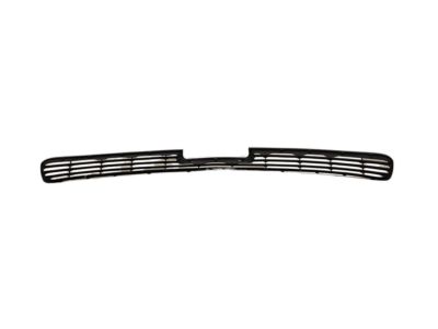 GM 25653070 Grille, Radiator Lower