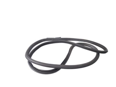 2012 GMC Terrain Weather Strip - 84258754