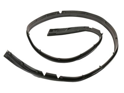 Chevrolet Volt Weather Strip - 23359656