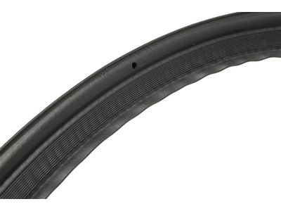 2022 Chevrolet Tahoe Weather Strip - 84782655