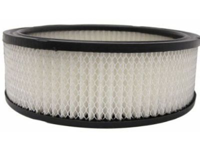 1985 Chevrolet P30 Air Filter - 5648003