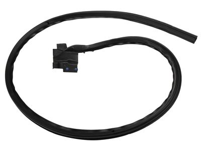Cadillac CTS Weather Strip - 22755600