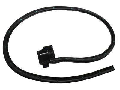 Cadillac CTS Weather Strip - 22755600