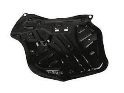 GM 84374105 Deflector Assembly, Front Side Door Water