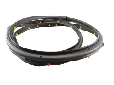 2012 Chevrolet Cruze Weather Strip - 95021341