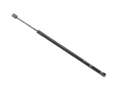 Chevrolet Colorado Lift Support - 85620976