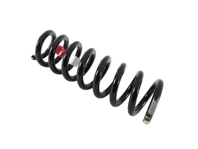 2024 Cadillac CT4 Coil Springs - 84789297