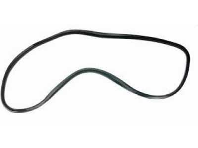 GM 88952175 Weatherstrip,Front Side Door