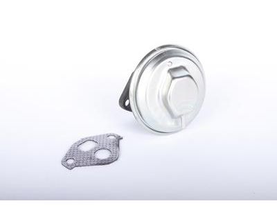Chevrolet Astro EGR Valve - 19210653