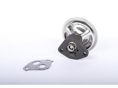 Chevrolet Astro EGR Valve - 19210653