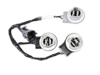 GM 19206827 Harness Asm,Tail Lamp Wiring