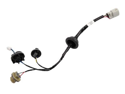 42713185 GM Module Assembly, Rear Comb Lp Product Photo 2 of 6
