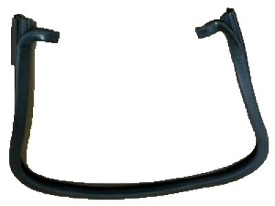 2005 Hummer H2 Weather Strip - 15785355