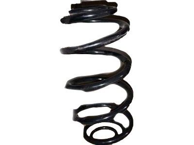 GM 10390024 Rear Spring