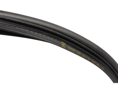 84113009 GM Rear Compartment Lid Weatherstrip Assembly Product Photo 2 of 3