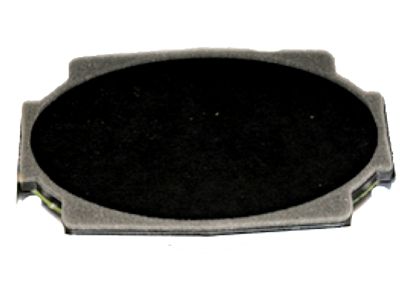 GM 15173233 Speaker Assembly, Radio Rear