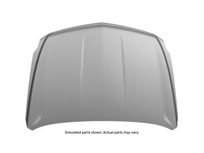 Cadillac 84348416