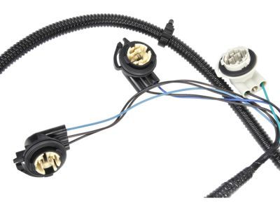 GM 16531402 Harness Asm,Tail Lamp Wiring (R.H.)