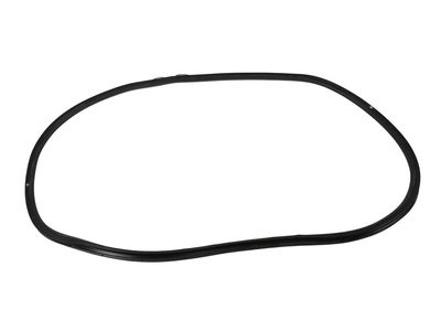20944482 GM Rear Side Door Weatherstrip Assembly (Body Side) Product Photo 2 of 3