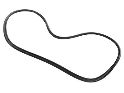 84523967 GM Rear S/D Weatherstrip Assembly Product Photo 2 of 3