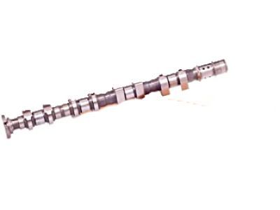 GM 55571921 Camshaft Assembly, Intake