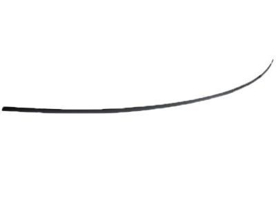 GM 92093577 Molding Assembly, Front & Rear Side Door Opening Frame Reveal *237D "Canada