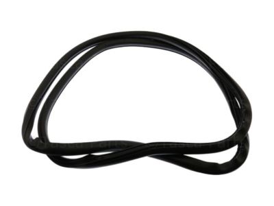 Cadillac CTS Weather Strip - 22895388
