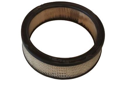 Chevrolet Astro Air Filter - 25040881