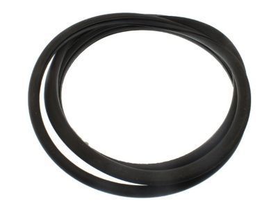 2002 Oldsmobile Intrigue Weather Strip - 25917746