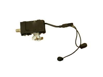 GM 15895098 Module Assembly, Radio Antenna