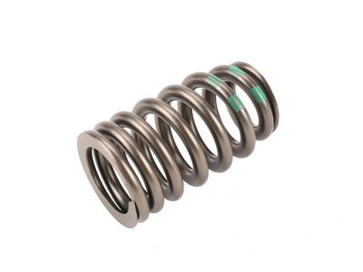 GMC Sierra Rocker Shaft Spring Kit - 12728733