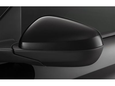 Chevrolet Trailblazer Mirror Cover - 42666356