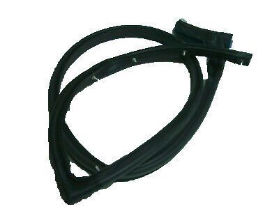 2008 Cadillac CTS Weather Strip - 20913285