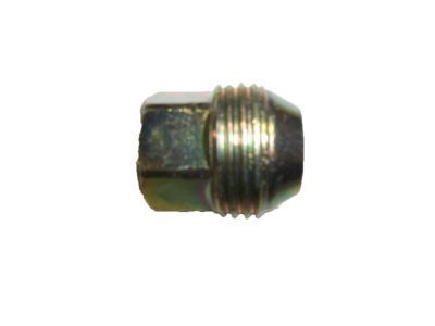 GM 10028615 Nut,Wheel