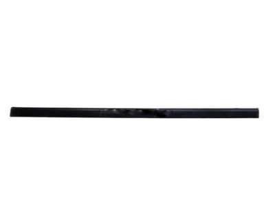 2002 GMC Envoy Weather Strip - 25864093