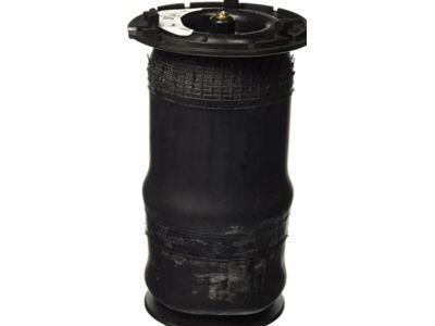 GM 25815604 Rear Air Spring