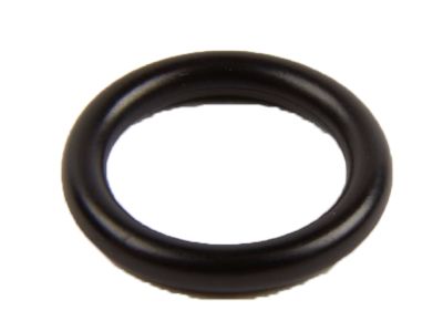 GM 55568540 Seal, Engine Oil Cooler Pipe (O Ring)