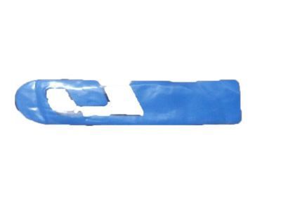 GM 10255634 Plate Assembly, Front Side Door Name "Gt" *Bright Red