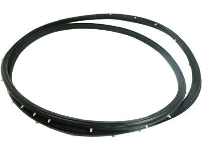 GM 25931869 Weatherstrip Assembly, Front Side Door