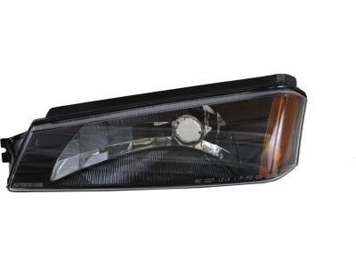 GM 15077336 Lamp,Parking & Turn Signal