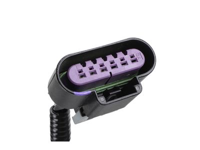 22869240 GM Harness Assembly, Evap Emission Canister Vacuum Leak Pm Product Photo 4 of 8