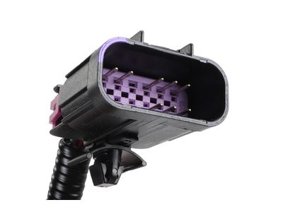 22869240 GM Harness Assembly, Evap Emission Canister Vacuum Leak Pm Product Photo 3 of 8