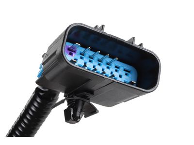 22869240 GM Harness Assembly, Evap Emission Canister Vacuum Leak Pm Product Photo 6 of 8