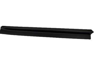 2010 Chevrolet Equinox Door Moldings - 25824825