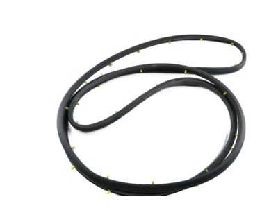 GMC Terrain Weather Strip - 23282071