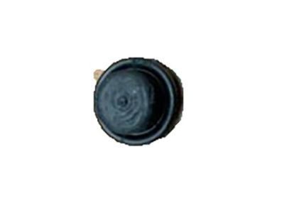 GM 18003901 Cover,Rear Brake Bleeder Bolt(3/8, 24 Thread)