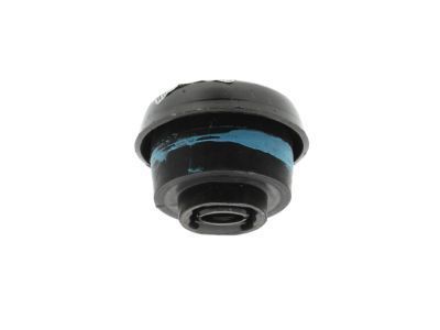 GM 25857633 Cushion Assembly, Body Bolt Upper Location #*Blue